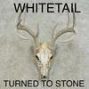 Old Man's Story - Whitetail