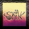 Skin (Explicit) - Gnommen&Louis Martini