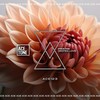 Deeper Love (Original Mix) - Steve Tosi