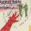 Hide and Seek (feat. Emotegi) (Explicit) - Juniper Fields&emotegi