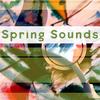 Carnival of the Animals: XIII. The Swan - Leonidas Melnikas&Tbilisi Symphony Orchestra
