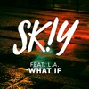 What If - SKIY&L.A.