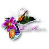 Shining Love - Laura Gibert