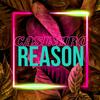 Reason(feat. Skyrick)(Special Version) - Casimirosv&Skyrick