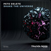 Shake The Universe (Original Mix) - Pete Delete