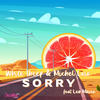 Sorry - White Sheep&Leo Moura&Michel Lara