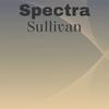 Spectra Sullivan - Jham Leisser