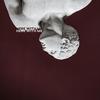 Here With Me - Phage
