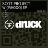 W3 - Scot Project