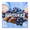 Blueberry - DR.L&AFLP20 Official