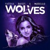 Wolves (Instrumental) - Sativa Roses&Morello