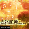 Beer in Mexico - Pickin' On Series