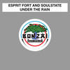 Under The Rain (Tigran Oganezov Remix) - Esprit Fort and SoulState&Esprit Fort&SoulState&Tigran Oganezov