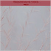 Pandora (Original Mix) - R.Storn