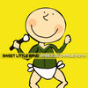 See You Again - Sweet Little Band