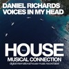 Voices in My Head (Dub Mix) - Daniel Richards