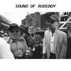 Sound Of Rudeboy(feat. Krzaquu) - Wavy.&Krzaquu