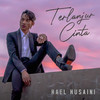 Terlanjur Cinta - Hael Husaini