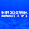 Um mar cheio de piranha (Explicit) - Dj Biel Sb