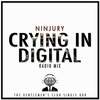 Crying In Digital (Radio Mix) - Ninjury