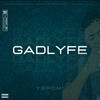 Vibes (feat. No Folly Entertainment) (Explicit) - ygromi&No Folly Entertainment