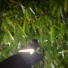 Himmel (Explicit) - Acidfrank
