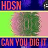 Can You Dig It - HDSN