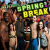 Spring Break - Noodle