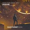 Weapons (Alexander Popov Extended Remix) - Assaf&Diana Leah