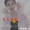遗忘的爱 - 韩小磊