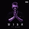 Wish (Explicit) - Ty Naps