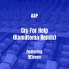 Cry For Help (Kamiltoma Remix|Explicit) - AAP&9eleven