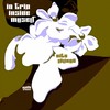 In Trip Inside Myself (Elettro Funky Version) - Vito Lalinga