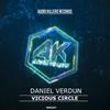 Vicious Circle - Daniel Verdun