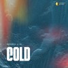 Cold - Horosco&AL