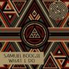 Strange Night (Original Mix) - Samuel Boogie