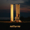 Notturno - Volpe