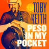 Growing Up Is A Bitch - Toby Keith&Sammy Hagar