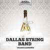 Chasin Rainbows - Dallas String Band