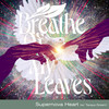 Supernova Heart (Piano Room) - Breathe of My Leaves&Tareya