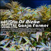 Ganja Farmer (Original Mix) - Nieko