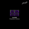 Raspberry Galaxy (m-fast Remix) - Aurolab&m-fast