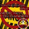 We're Not In Danger! (Original Mix) - Tontherapie&SFK