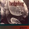Without This Town - Hedgehog