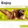 Happyness - Gianmaria Maiocco