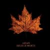 Feuille morte - Aidan