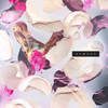 Oracles (Original Mix) - Kusp