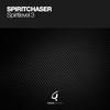 Taiga (Original Mix) - Spiritchaser