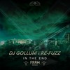 In the End (Fraw Remix) - DJ Gollum&Re-Fuzz&Fraw