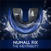The Inevitability (Original Mix) - Numall Fix